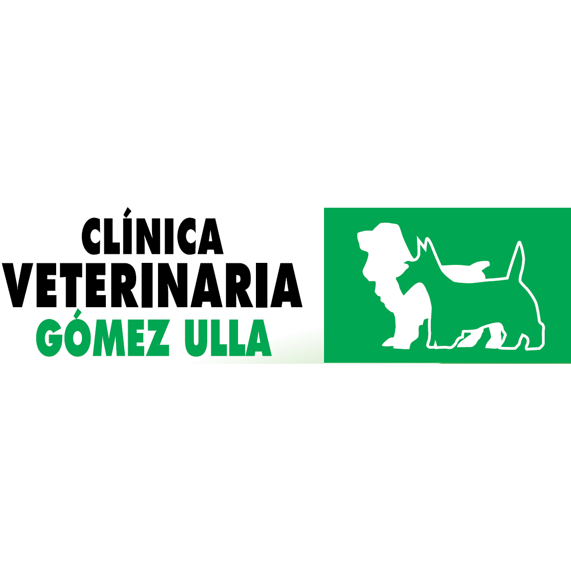 Veterinario en Salamanca, Gómez Ulla Clínica Veterinaria