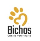Veterinario en Salamanca, Bichos Clínica Veterinaria