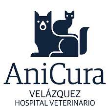 Veterinario en Barrio Salamanca Madrid. AniCura Velázquez Hospital Veterinario