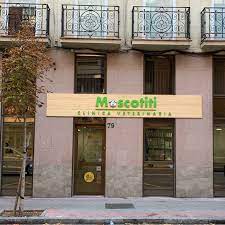 Veterinario en Barrio Salamanca Madrid. Clínica Veterinaria Mascotiti